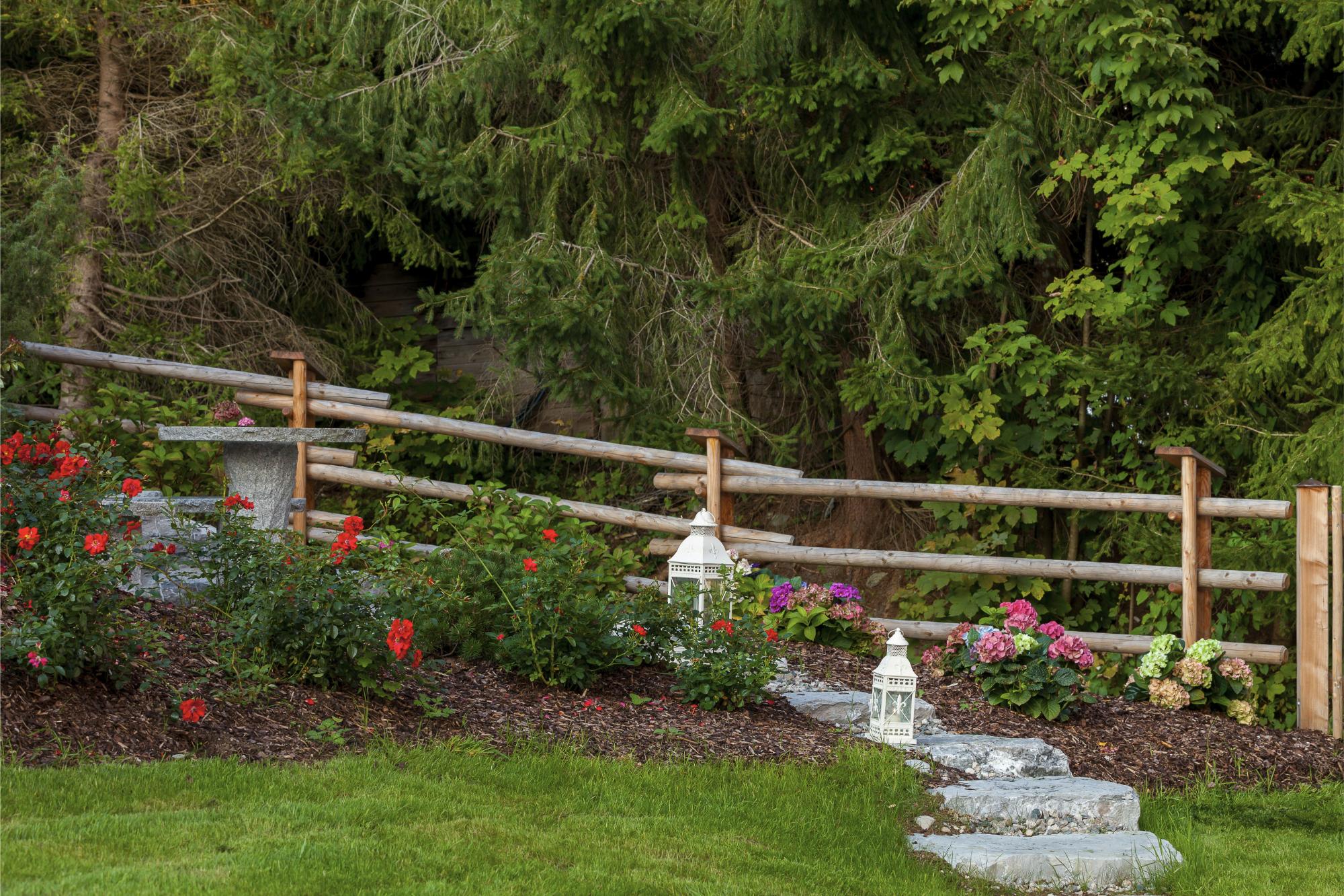 Romantischer Rosengarten am Chalet