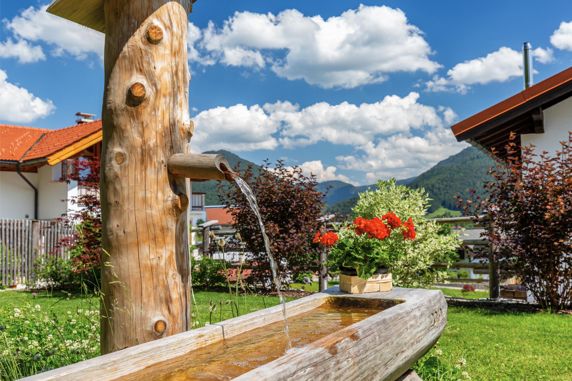 Chalet Brunnen Impression