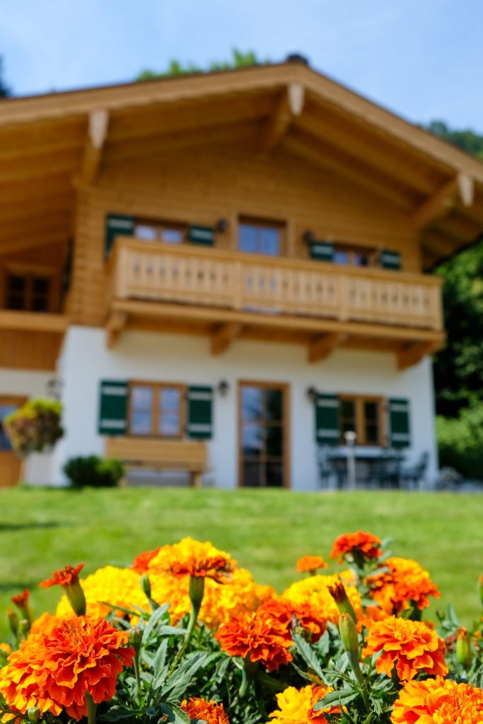 Blumen am Chalet Vogelnest